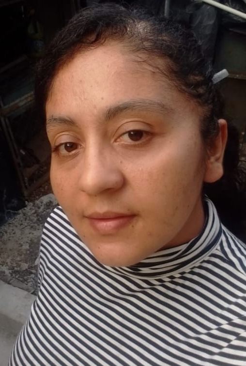 After Image Alt Text